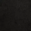 Daytona Coal