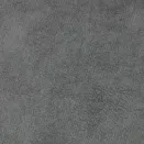 Dapple Silver