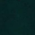 Dapple Teal